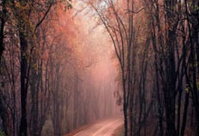 海星体育:CBA:赵继伟7中1进前四!高诗岩11+7,奇兵19分大败.