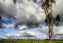 内讧!德泽尔比与队员爆发激烈冲突 主帅罢工球员罢训.