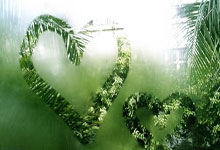 晋级八强!热刺3-1阿尔克马尔 奥多贝尔双响索兰克两助攻.