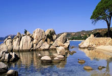 海星体育:国乒最新战报!向鹏开门红,首局2-5落后连得5分,11-6大逆转!.